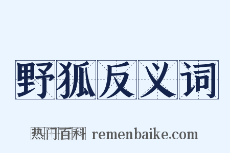 野狐反义词是什么意思的图片